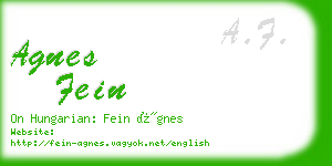 agnes fein business card